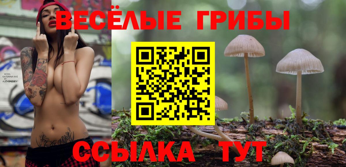 Галлюциногенные грибы Cubensis  Вход с VPN  купить  цена  Нефтекамск 